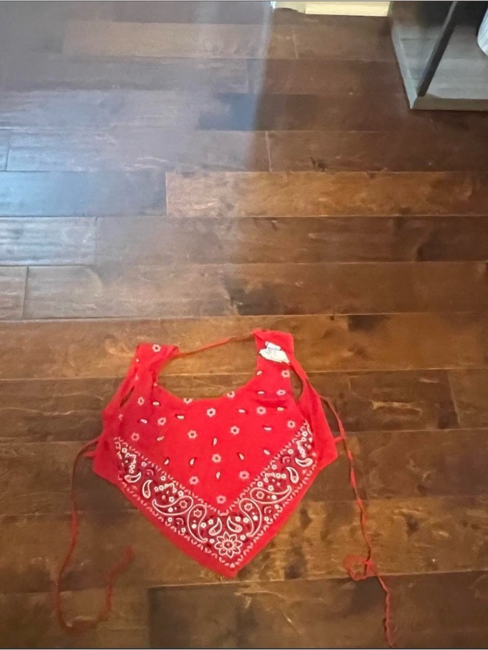 Red Bandana-Style Crop Top - Women's Summer Tie-Back